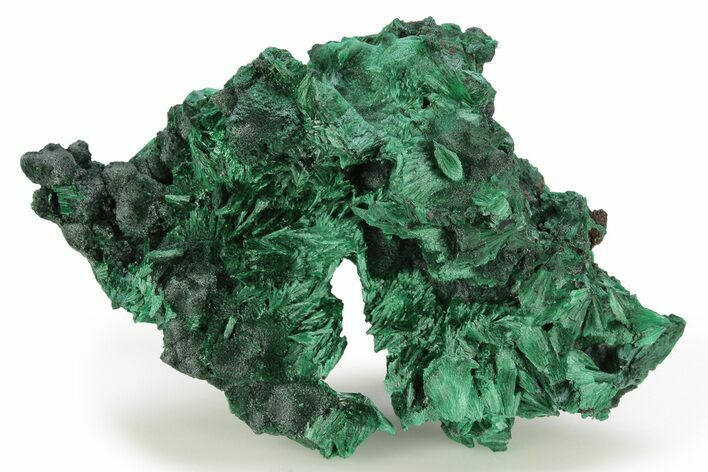 Silky, Fibrous Malachite Cluster - DR Congo #261914